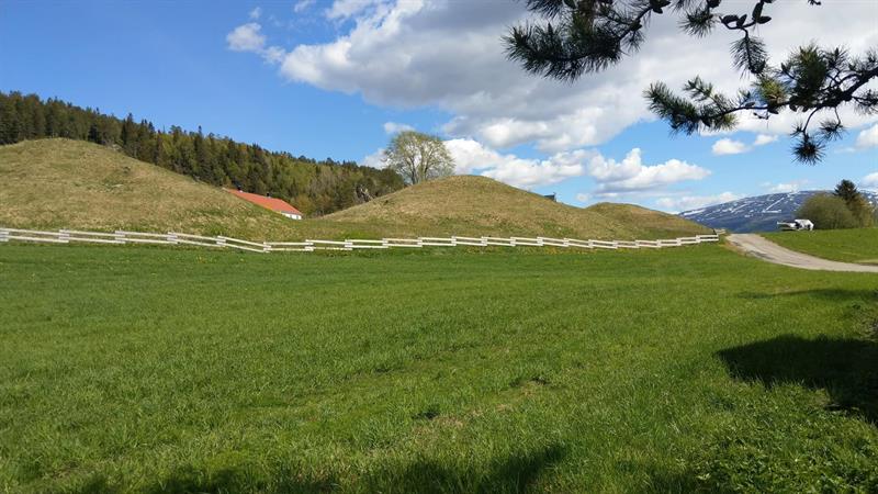 Storhaugene på Bertnem i Overhalla