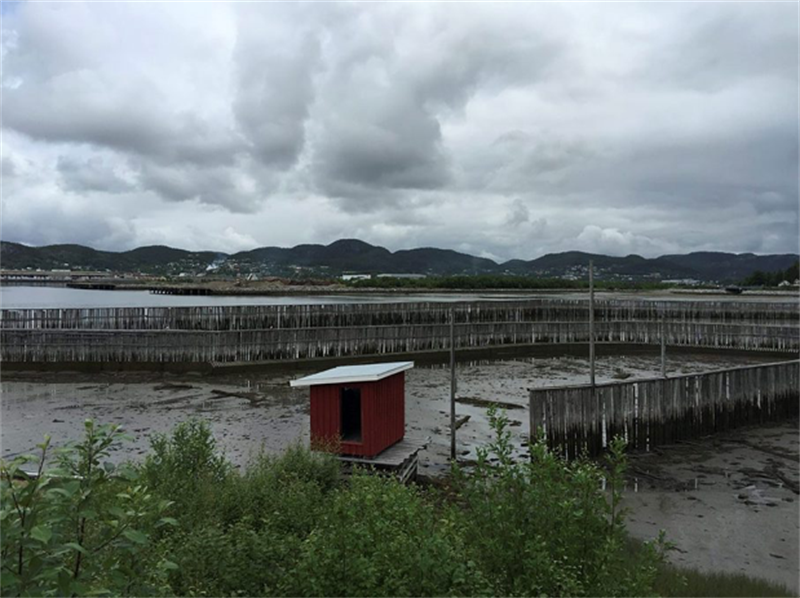 Tømret lå samlet i sjøen før det ble dratt inn på saga med en kerat (Foto: Gunn-Hege Lande)