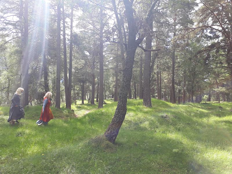 Gravfeltet på Vang Gravfeltet på Vang er ett av Nord-Europas største gravfelt fra jernalderen med rundt 900 gravhauger samlet i et vakkert kulturlandskap.