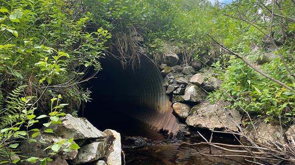 Kulvert ved Krokbekken. Bilde
