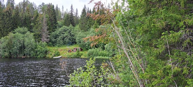 Bilde av gammel bygdesamiske boplass ved Leklemvatnet i Volhaugen på grensa mellom Inderøy og Verdal kommune. I midten av bildet ser vi et fint turmål med gapahuk og bålplass i skogen ved vatnet. Foto: Håkon Hermanstrand / Saemien Sijte.