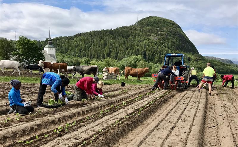 Vinner av inkluderingsprisen 2019.jpeg Prosjektet «Vennskap og kunnskap i åkeren» vant Inkluderingsprisen 2019. Foto: Sissel Thorsen