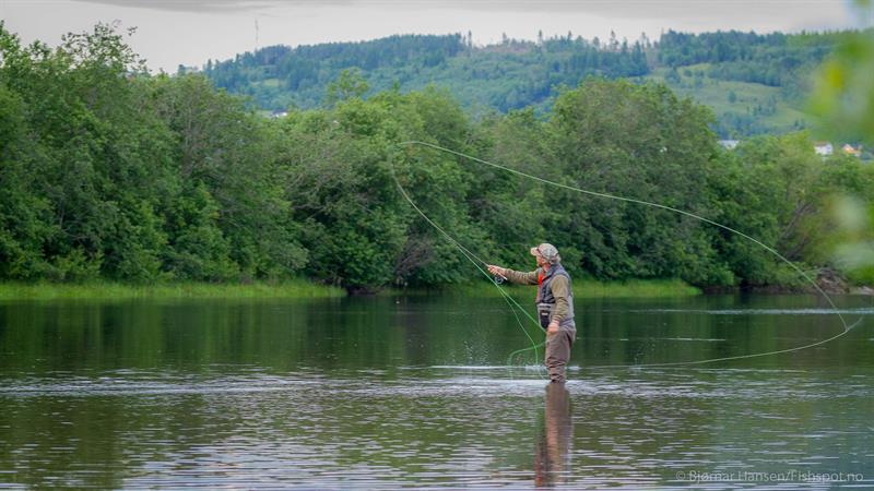 Fluefiske i Selbu. Foto - Bjørnar Hansen - Fishspot.no Fluefiske i Selbu. Foto - Bjørnar Hansen - Fishspot.no