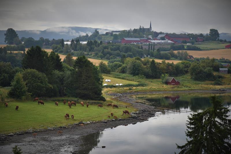 Korsen mot Mære. Foto: Hilde Yri/TRFK Innerst i Borgenfjorden med utsikt til Mære kirke. Foto: Hilde Yri/TRFK