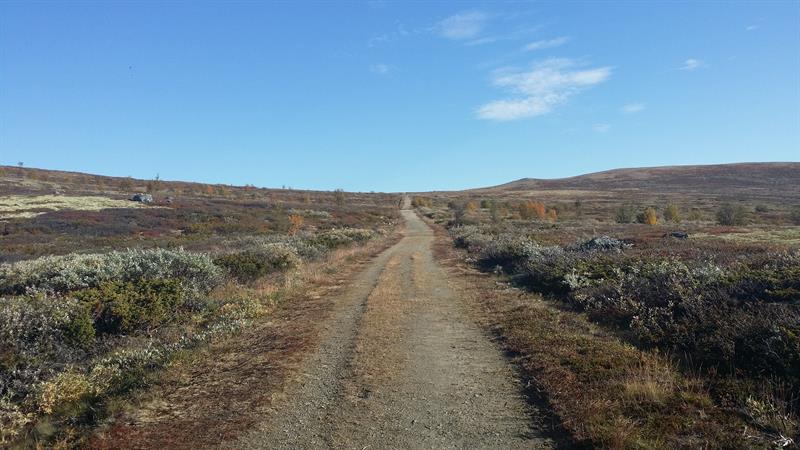 Kongevegen over Dovrefjell Kongevegen over Dovrefjell (Foto: Kulturminnevern Trfk).