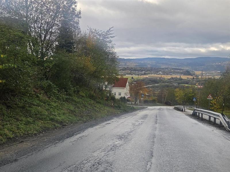 Bildet. Løvsetvegen