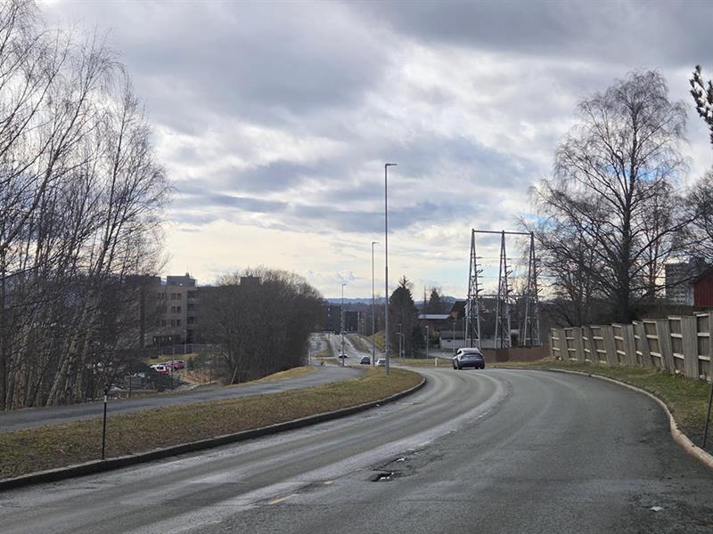 Bilde. Blaklivegen - Steinanvegen