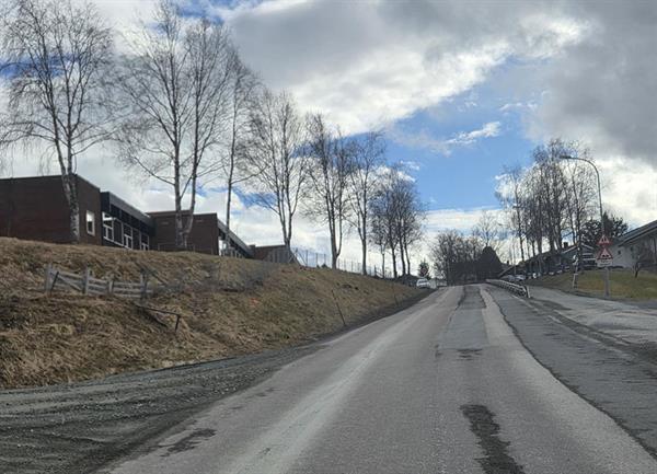 Bilde. Tanemsbruvegen