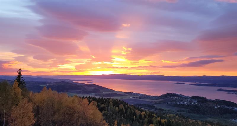 Høst Oftenåsen Steinkjer Foto: Per Arne Stavnås