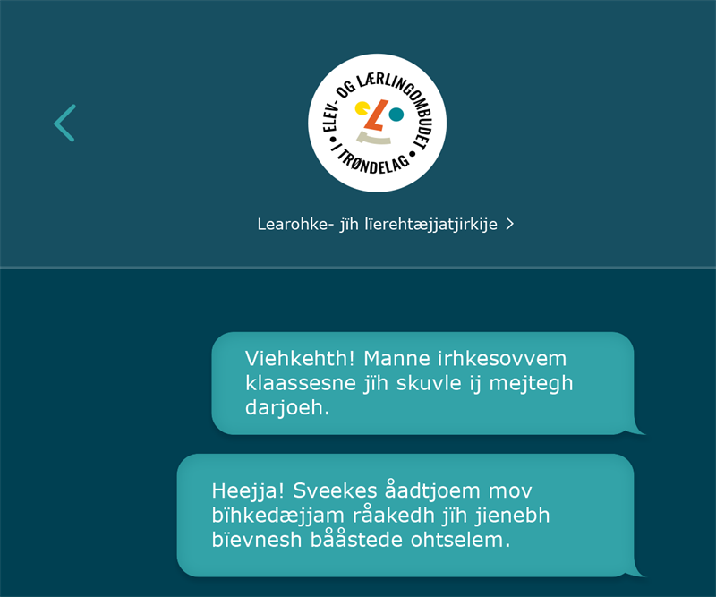 forside av brosjyre sørsamisk forside av brosjyre sørsamisk